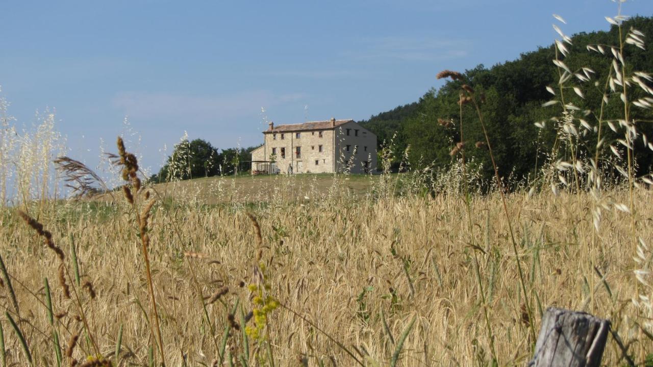 Casale Le Fontanelle Hotel Monte Grimano Terme Exterior photo